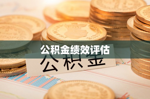 曹妃甸公积金绩效评估