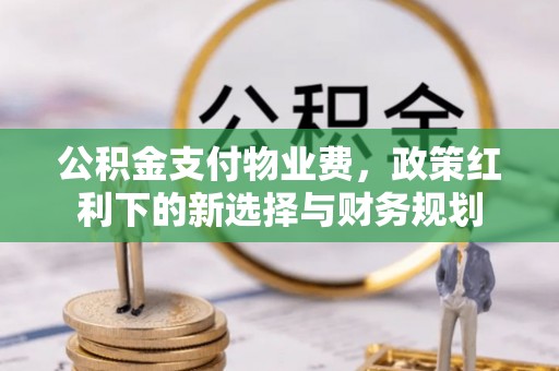 曹妃甸公积金支付物业费，政策红利下的新选择与财务规划