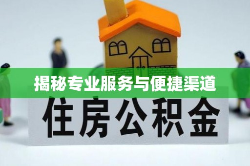 曹妃甸揭秘专业服务与便捷渠道