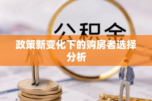 曹妃甸政策新变化下的购房者选择分析